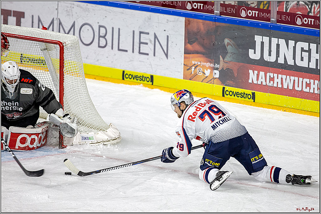 DEL; Koelner Haie - EHC Red Bull Muenchen, 17.02.2019